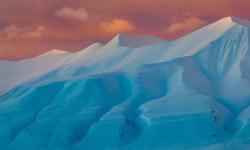 Featured image of post conclusion