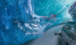 Featured image of post week report