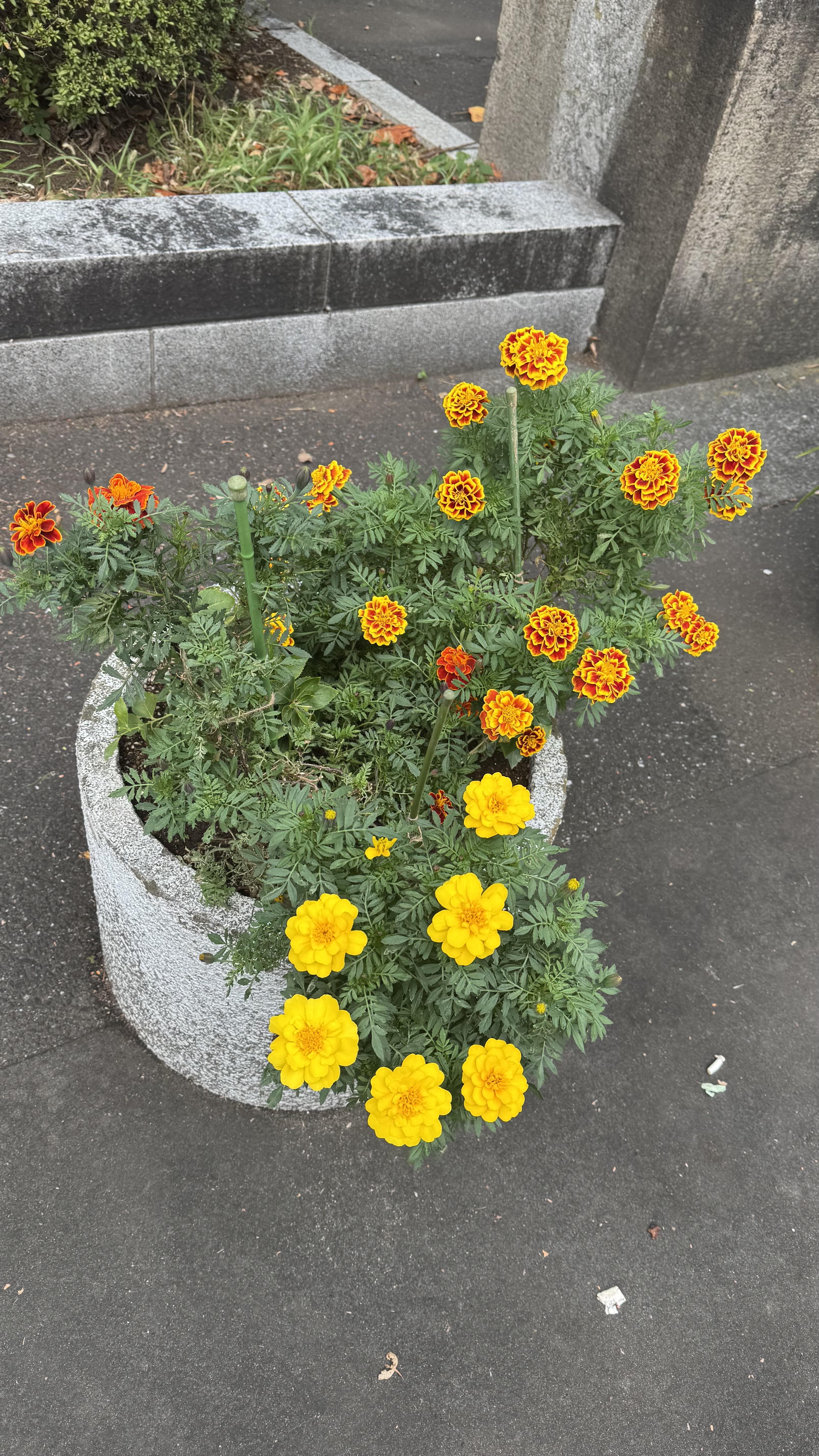 Featured image of post month refresh 2025.10