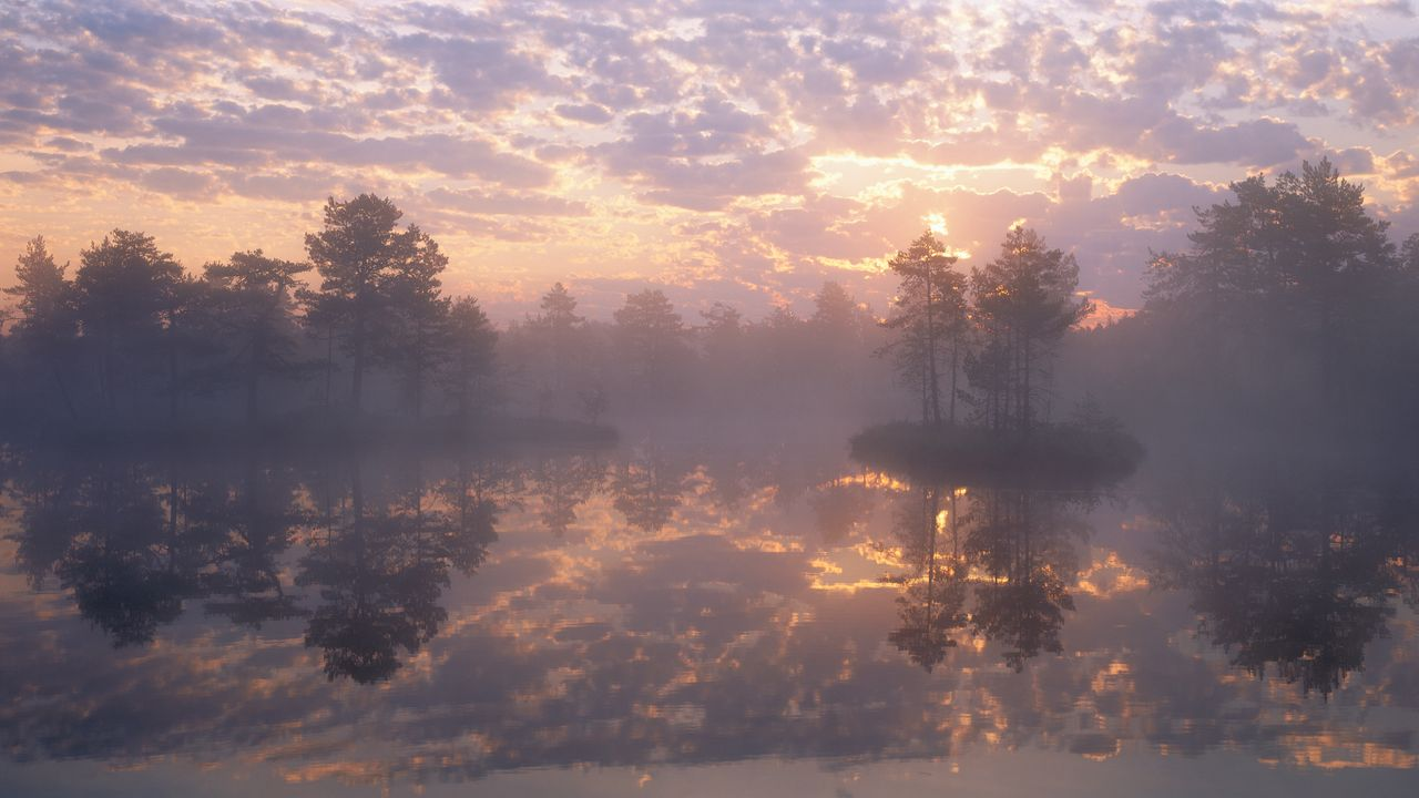 Featured image of post how to use canal