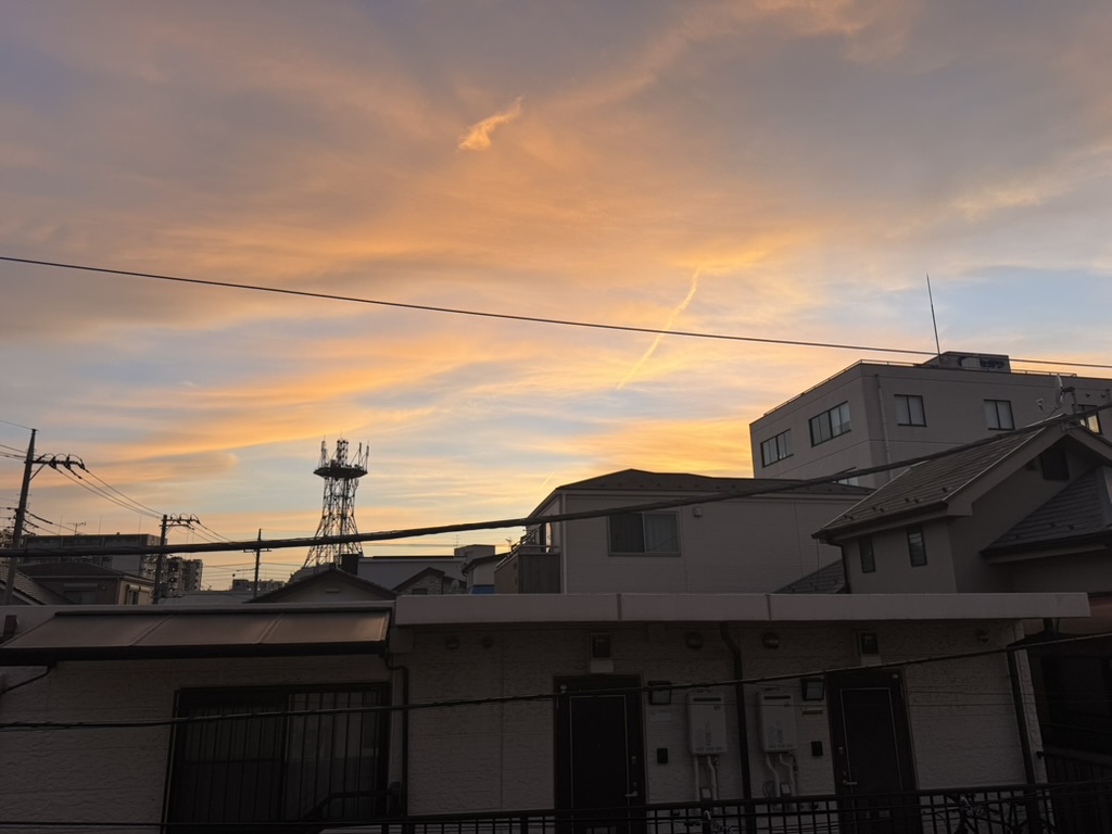 Featured image of post 2025 review